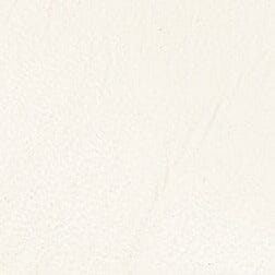 Leather Ankle Boot with Pointed Toe & Side Zip | Wally Cream