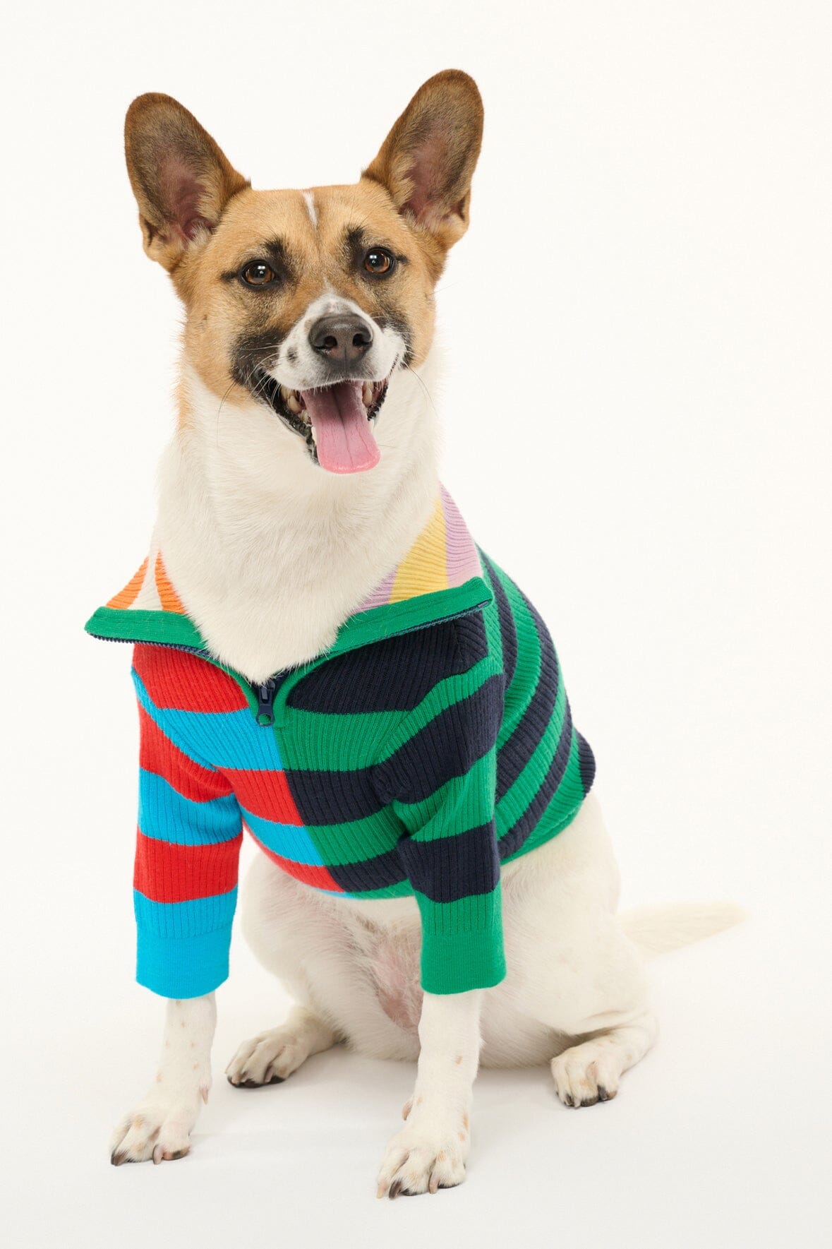 Pet Sweater with Half-Zip & Stripes | Hampton Cabana