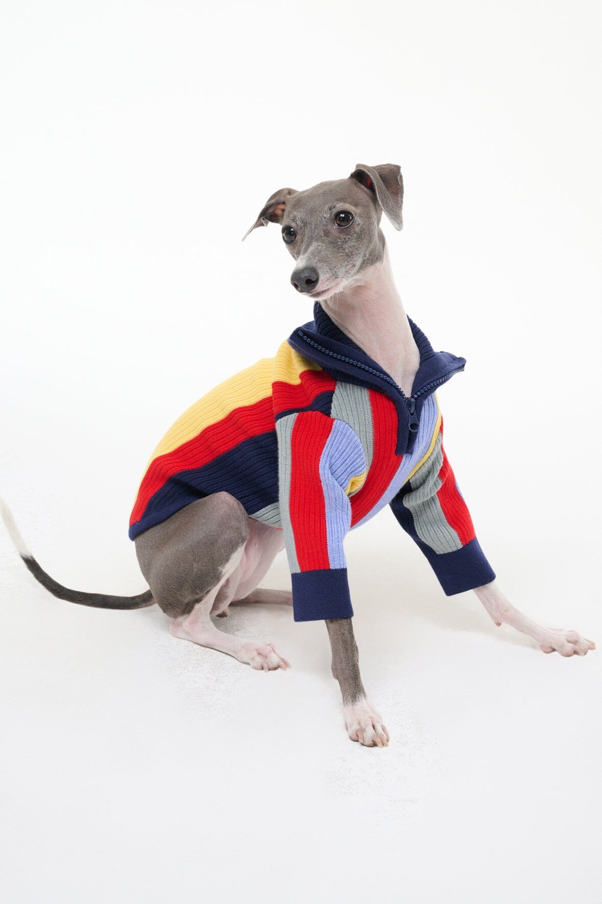 Pet Sweater with Half-Zip & Rib Knit | Hampton Market Stripe