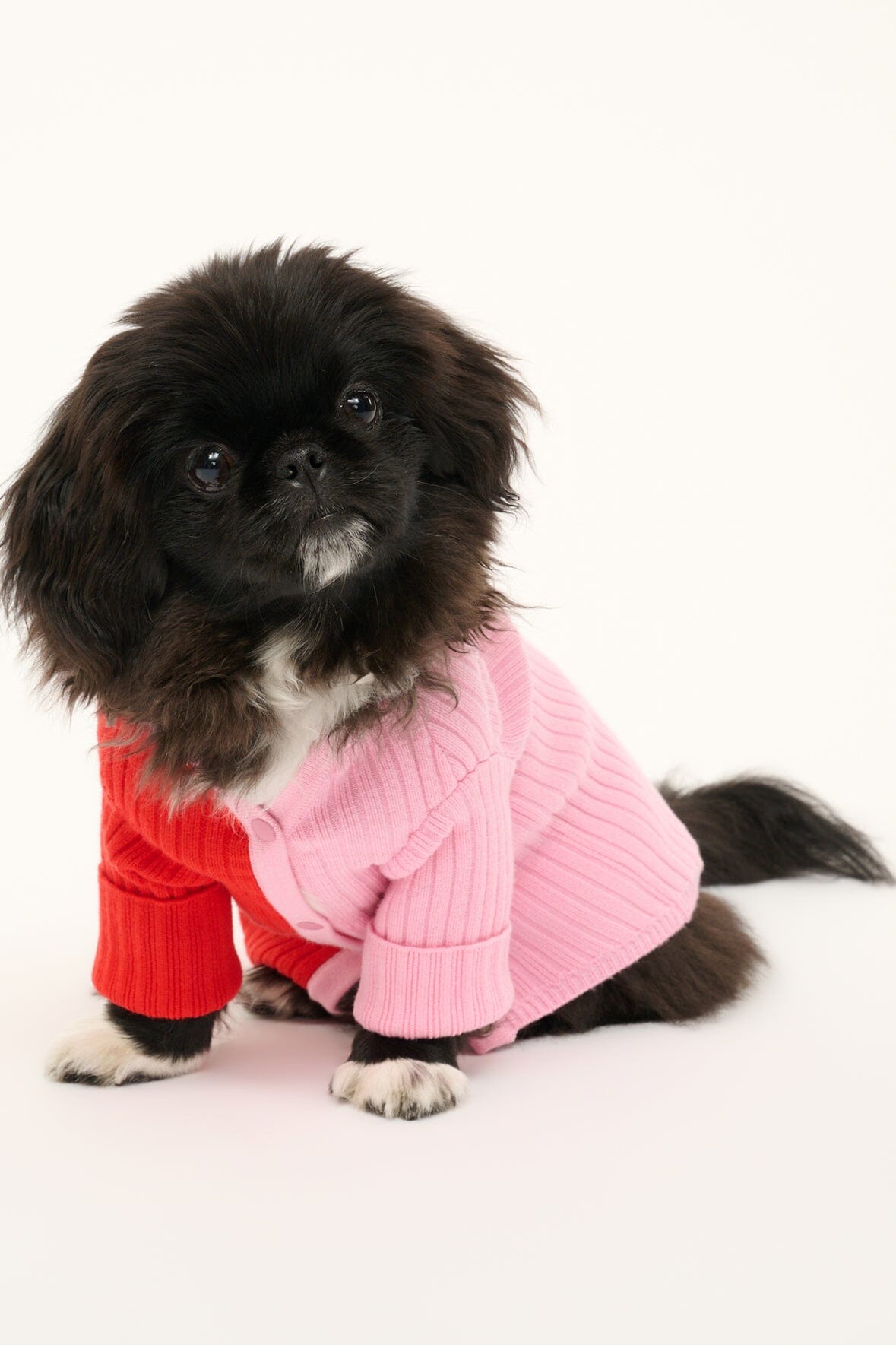 Pet Shoko Sweater with Snap Button Closure | Poppy Rosebud